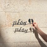 ציפורי דרור ציפורי דרור