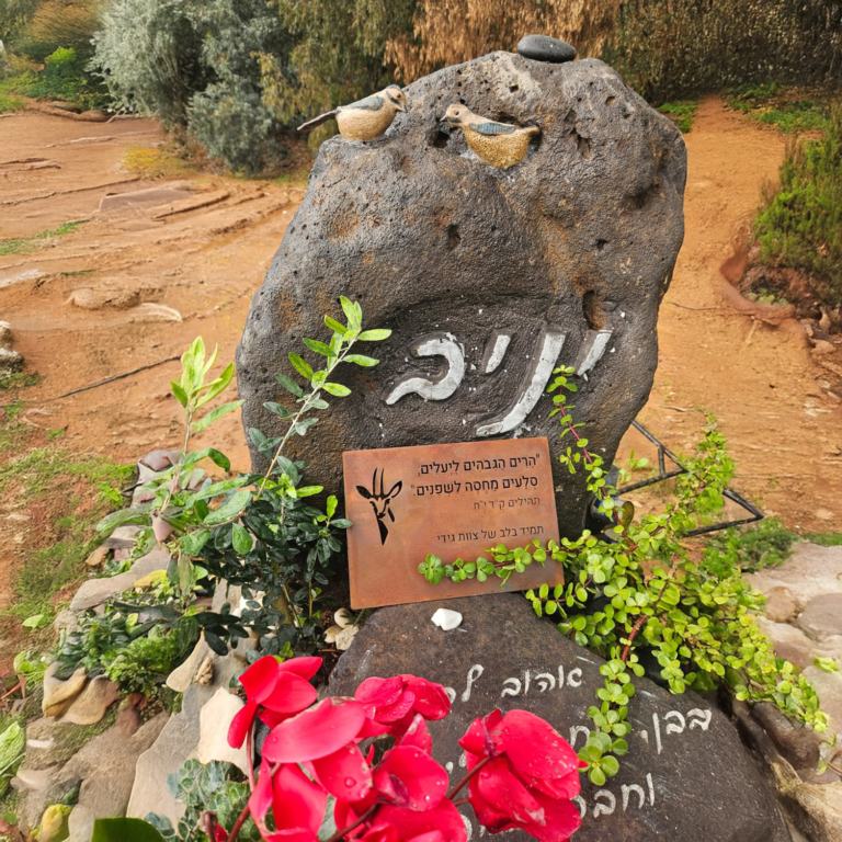 יניב